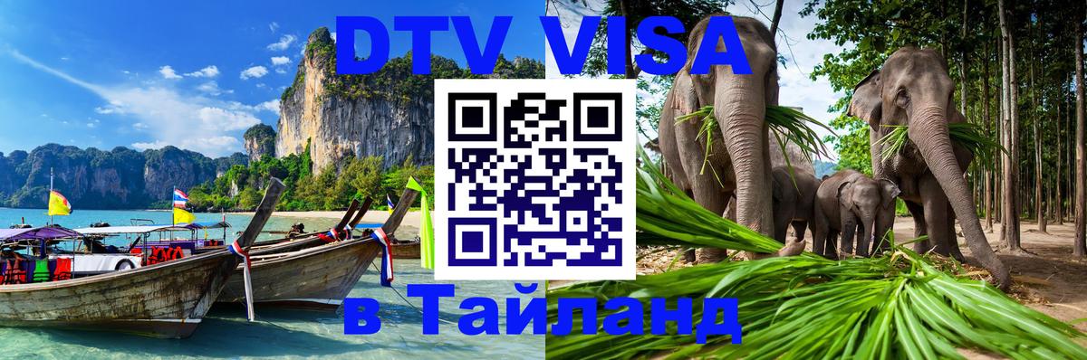 Сколько стоит DTV виза — актуальные цены, оформление даже без документов - Санкт-Петербург 